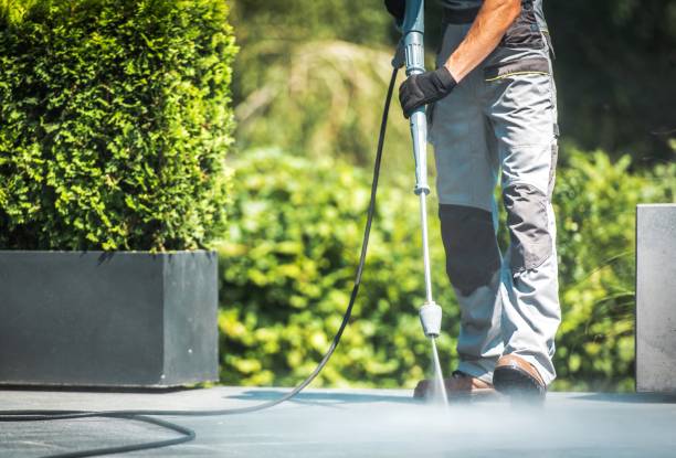 Best Graffiti Removal  in Pacheco, CA