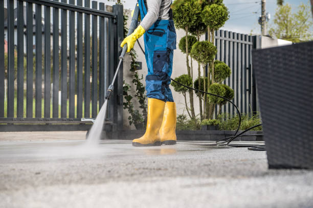 Best Graffiti Removal  in Pacheco, CA