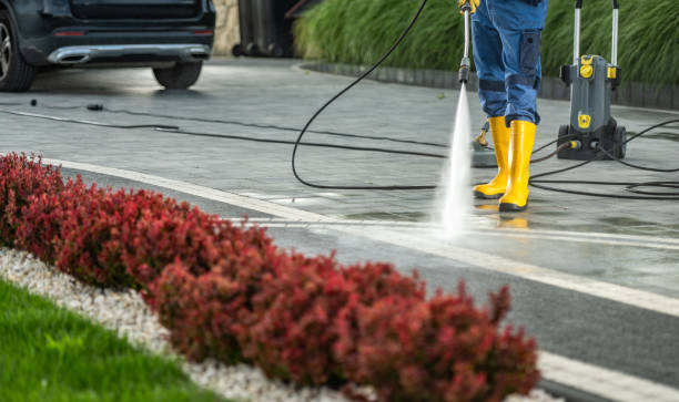 Best Dumpster Area Cleaning  in Pacheco, CA